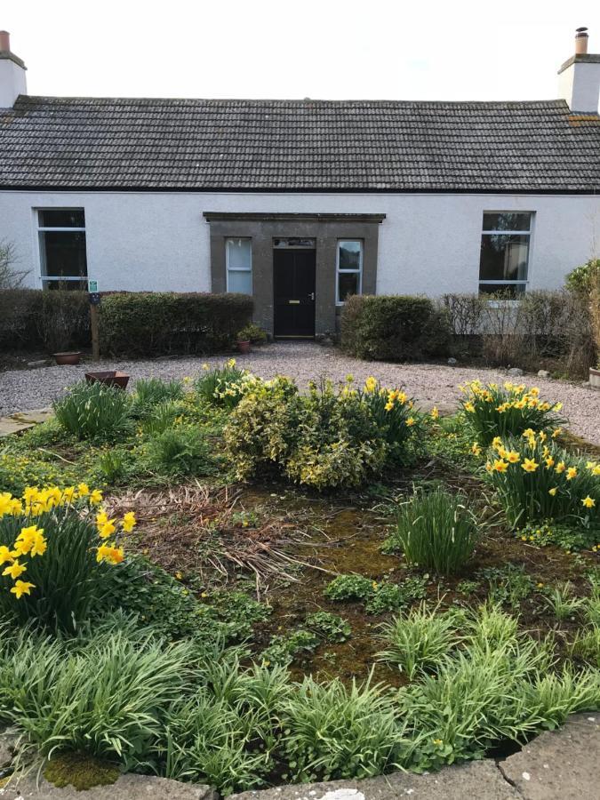 Thurdistoft Farmhouse, Dunnetbay Accommodation 서소 외부 사진